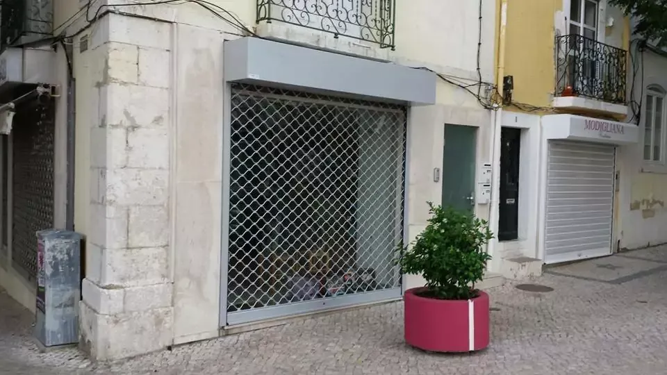 Grade de lagarto numa montra de Lisboa